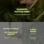 TIRTIR Matcha Skin Toner - Image 4