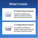 THOME Boost Ampoule 4-Type Kit - Image 6