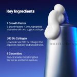 SUNGBOON EDITOR Deep Collagen 7GF Ceramide Advanced Barrier Night Cream - Image 6