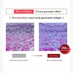 Centellian24 Madeca Cream Time Reverse - Image 6