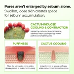 Dr.Melaxin Cactox Pore Relief Multi Balm - Image 4