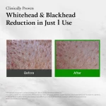 FULLY Green Tomato Clay Pack Cleanser - Image 5