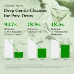 FULLY Green Tomato Clay Pack Cleanser - Image 6